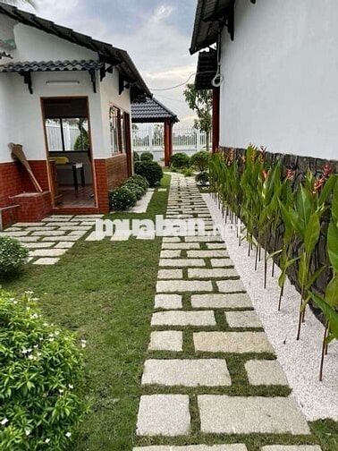 Bán đất Nghỉ Dưỡng view sông Vàm Cỏ Đông đẹp tại Hoà Khánh