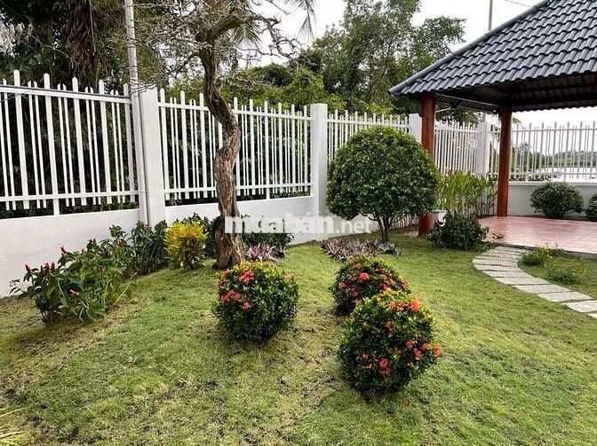 Bán đất Nghỉ Dưỡng view sông Vàm Cỏ Đông đẹp tại Hoà Khánh