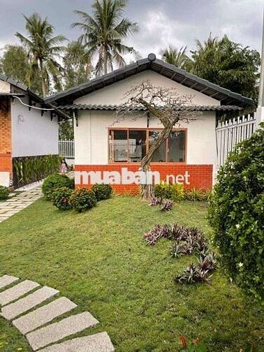 Bán đất Nghỉ Dưỡng view sông Vàm Cỏ Đông đẹp tại Hoà Khánh