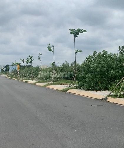 BÁN ĐẤT DỰ ÁN ĐẠI HỌC QUỐC GIA 245 Q9, LÔ LỚN 360m2 – GIÁ TỐT TP. T