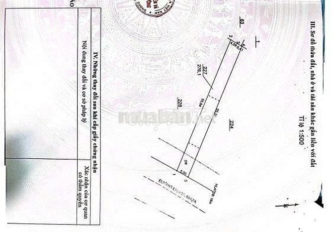 Bán đất đường nhựa  lớn DH 515 Phước Hòa, DT: 5 x 55m x 100TC