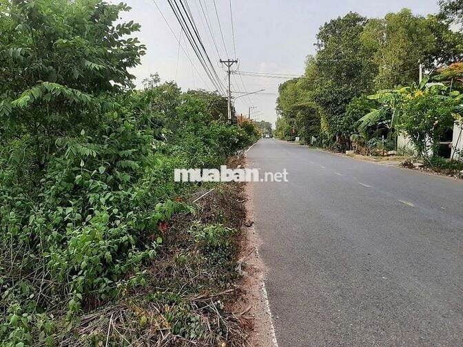 Bán đất đường nhựa  lớn DH 515 Phước Hòa, DT: 5 x 55m x 100TC