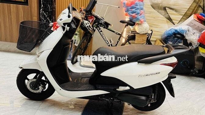 Honda Lead Trắng - BSTP - Cavet theo xe đầy đủ