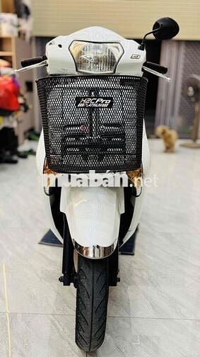 Honda Lead Trắng - BSTP - Cavet theo xe đầy đủ