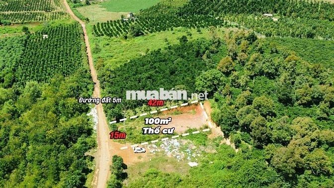 ĐẤT THỔ CƯ, ĐƯỜNG VÀO TRẠI GÀ, GẦN HỒ THỦY ĐIỆN, NINH GIA, LÂM ĐỒNG