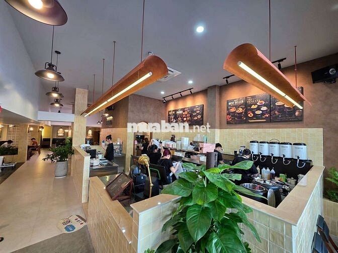 [Q3] PHONGTRA TUYỂN VỊ TRÍ PHA CHẾ