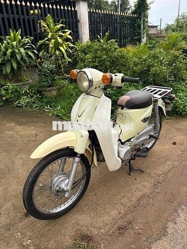 Honda 50cc Trắng kem Tự động