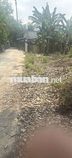 ĐẤT BIỆT THỰ 434M2 ĐƯONG OTO NGANG HƠN 20M P TÂN HIỆP CÓ 240M3 THỔ CƯ