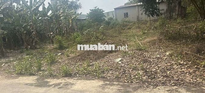 ĐẤT BIỆT THỰ 434M2 ĐƯONG OTO NGANG HƠN 20M P TÂN HIỆP CÓ 240M3 THỔ CƯ