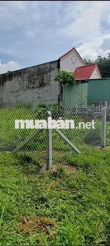 🔥 BÁN ĐẤT THỔ CƯ – XÓM ĐỒNG THANH, PHƯỚC TÂY NINH 🔥