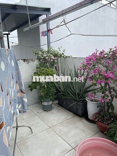 Cho nữ thuê phòng trong nhà nguyên căn