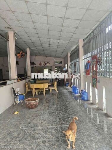 bán đất tặng kho lô nhì đoàn nguyên tuân gần chợ hưng long 1387m