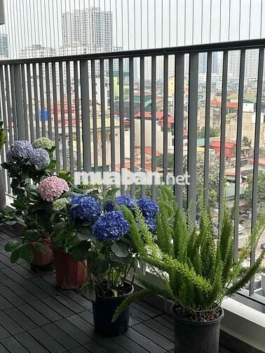 bán chung cư Cao cấp Feliz Home trung tâm quận Hoàng Mai
