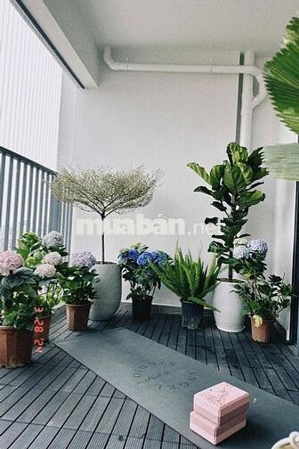 bán chung cư Cao cấp Feliz Home trung tâm quận Hoàng Mai