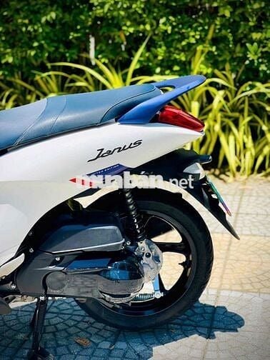 Yamaha Janus 2019 Bản kỷ niệm Trắng Xanh