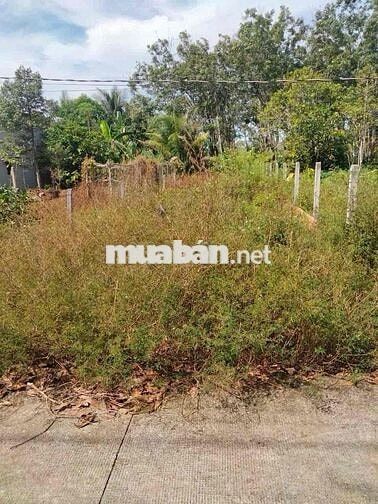 Chính chủ bán đất Thanh An, gần Chợ , UBND - đường xe hơi - pháp lý đầ