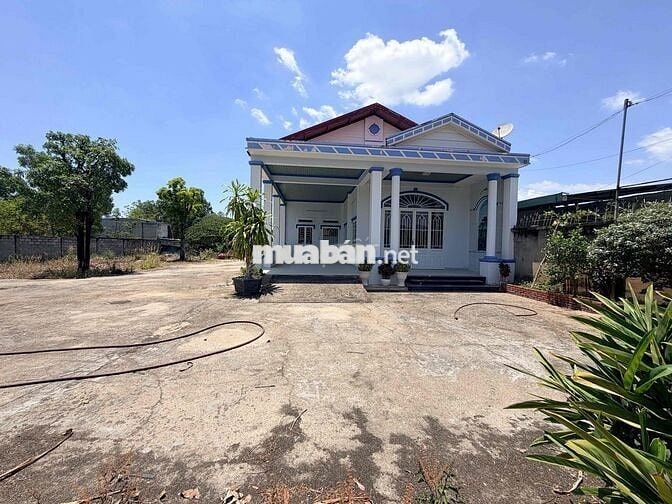 Chính chủ bán 3 lô liền kề. 3000m2 có 1800m2 TC