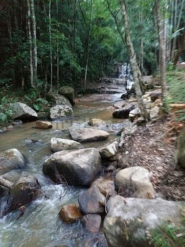 HỢP TÁC-SANG NHƯỢNG KHU DU LỊCH CANH NÔNG - P LANGBIANG- ĐÀ LẠT