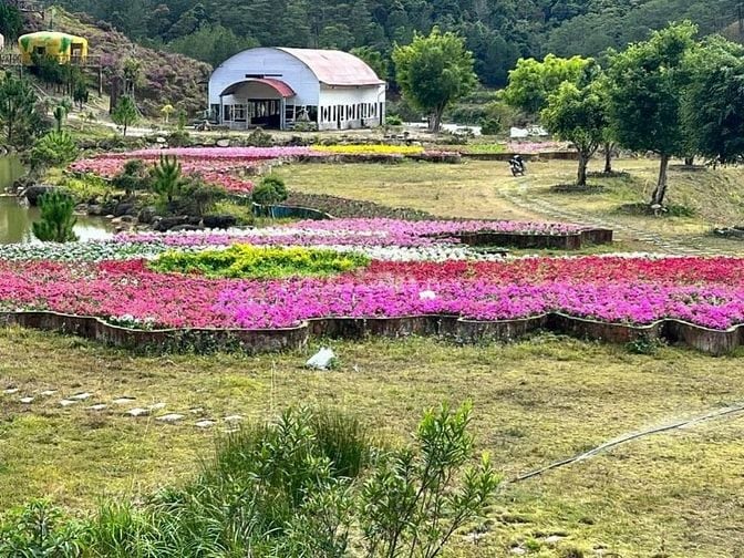 HỢP TÁC-SANG NHƯỢNG KHU DU LỊCH CANH NÔNG - P LANGBIANG- ĐÀ LẠT