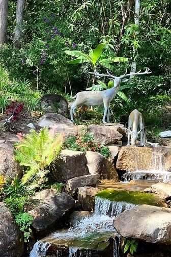 HỢP TÁC-SANG NHƯỢNG KHU DU LỊCH CANH NÔNG - P LANGBIANG- ĐÀ LẠT