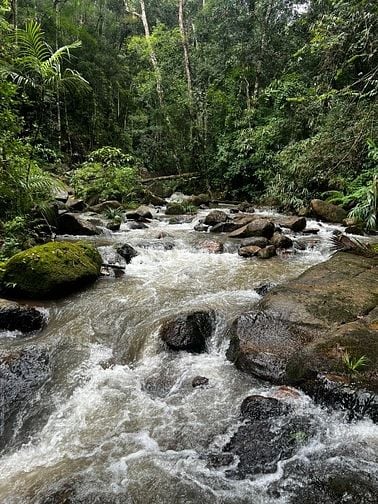 HỢP TÁC-SANG NHƯỢNG KHU DU LỊCH CANH NÔNG - P LANGBIANG- ĐÀ LẠT