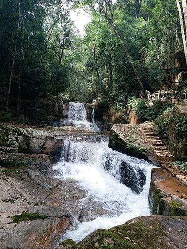 HỢP TÁC-SANG NHƯỢNG KHU DU LỊCH CANH NÔNG - P LANGBIANG- ĐÀ LẠT