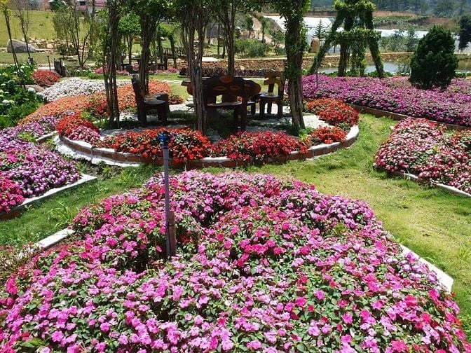 HỢP TÁC-SANG NHƯỢNG KHU DU LỊCH CANH NÔNG - P LANGBIANG- ĐÀ LẠT