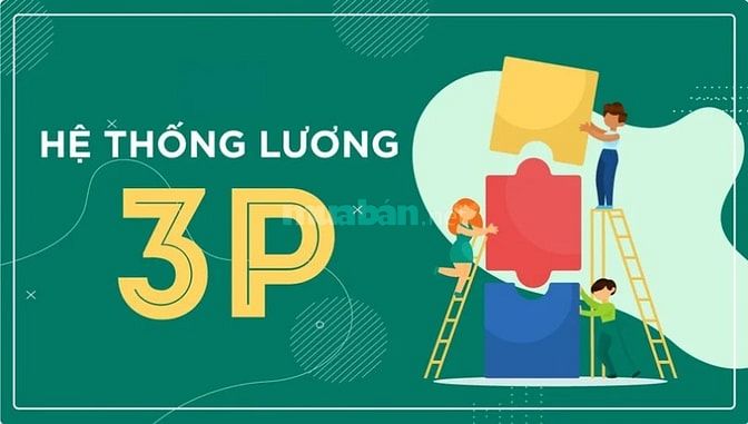 DỊCH VỤ TÁI CẤU TRÚC CÔNG TY - XÂY DỰNG VHDN - ĐÀO TẠO NỘI BỘ