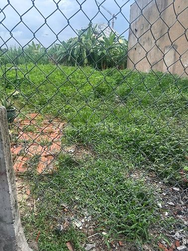 Đất Nền Tân Bình đường Cống Lỡ