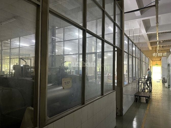 Cho thuê kho 500m2 KCN Vĩnh Lộc Bình Chánh.