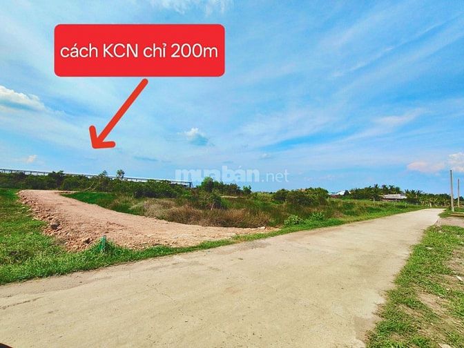 ĐẤT KẾ BÊN KCN ĐỨC HÒA 3 - XÂY TRỌ - KINH DOANH ĐỀU OK 