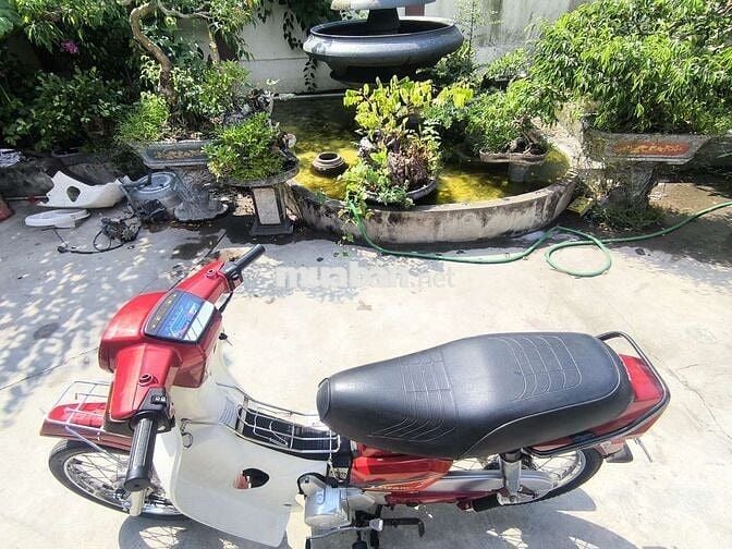 Honda Dream Đỏ trắng