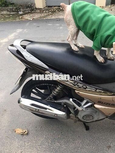 Suzuki Nâu Tự động