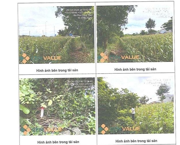 BÁN ĐẤU GIÁ TS VIB L5_XÃ ĐÁ BẠC, CHÂU ĐỨC, BRVT, NAY LÀ TPHCM