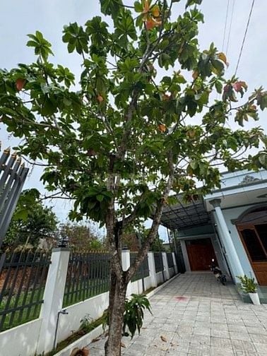 BÁN NHÀ TRUNG TÂM PHÚ HÒA - TP ĐỒNG NAI 425M2