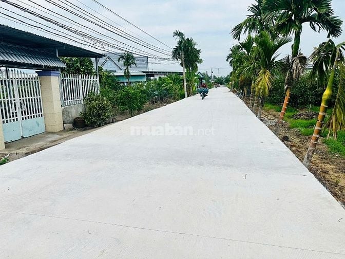 Bán đất đường TL 816 chỉ 370 triệu 1 sổ 500v đất vườn tại Bến Lức - LA