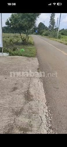 Bán đất mặt tiền Xuân Phú Xuân Tây Cẩm Mỹ Đồng Nai,dt:5000m(300 thổ)