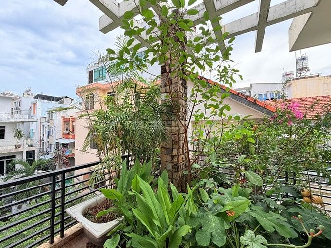 Bán BiệtThự Hoàng Dư Khương Q.10 - 7,9m x 23m chgir 46,5 tỷ