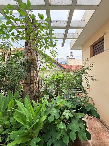 Bán BiệtThự Hoàng Dư Khương Q.10 - 7,9m x 23m chgir 46,5 tỷ