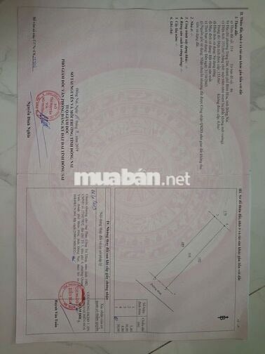 Chính chủ bán đất quy hoạch đất ở đô thị tại Biên Hoà 153m2