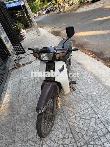 Honda Dream màu Nâu, Trắng