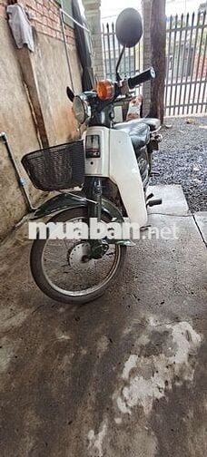 Honda Cub 81 Trắng Xanh