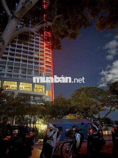cần thuê nhà nguyên căn từ 7/7 đến 7/8
