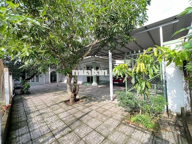 Chủ cần bán gấp căn nhà 120m2 đường Bàu Tre Tân An Hội Củ Chi