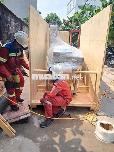 Tuyển Nam/Nữ đóng pllet gỗ, đóng thùng gỗ