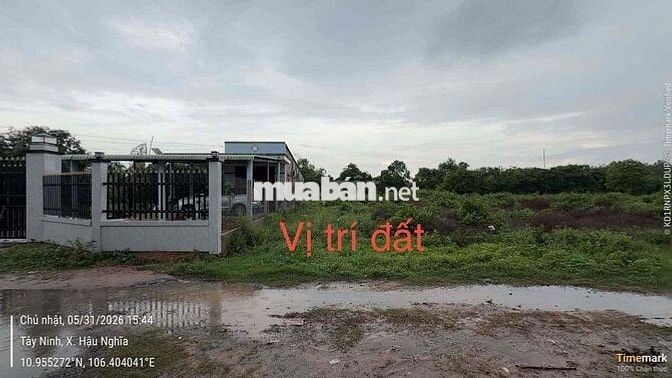 Đất thổ cư Bàu Công, Tân Mỹ, Đức Hoà, Long An