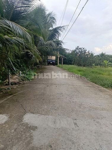 Đất Phường Mỹ Phong, Đường ô tô, giá 650tr/160m2 có thổ cư