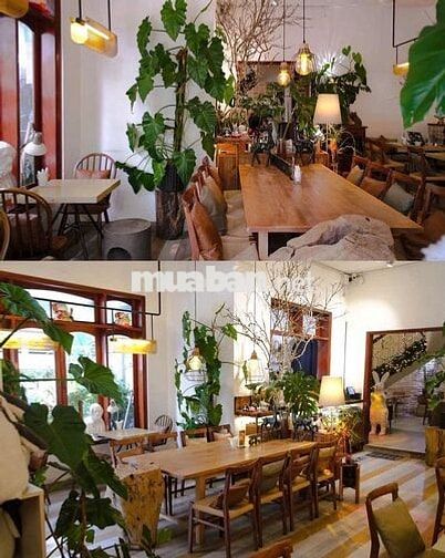 NGANG 10M VILLA MẶT TIỀN PHAN KẾ BÍNH QUẬN 1