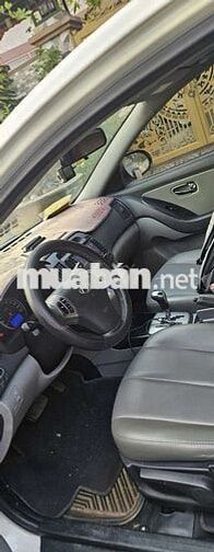 Hyundai Avante Trắng 5 chỗ