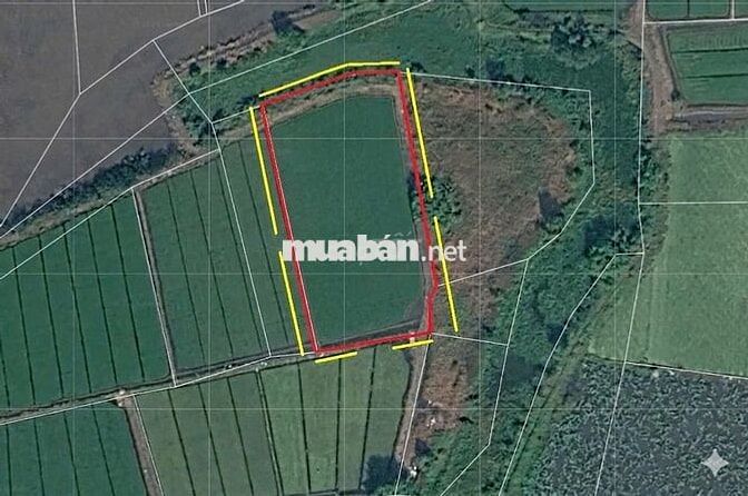 2556M2 ĐẤT THẠNH XUÂN HÓC MÔN CHỈ 11.74 TỶ TL GIÁ TỐT MỜI ĐẦU TƯ 